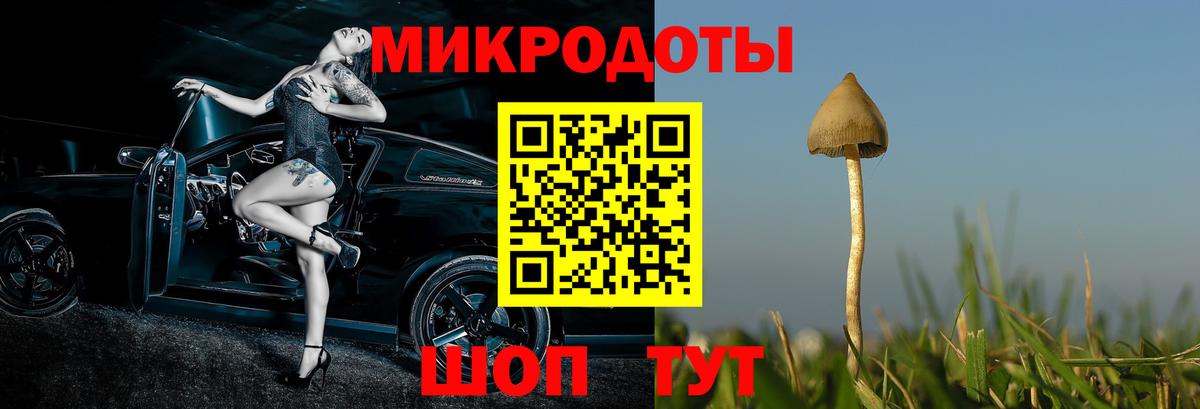 Ялуторовск  Галлюциногенные грибы мицелий  Вход с VPN 